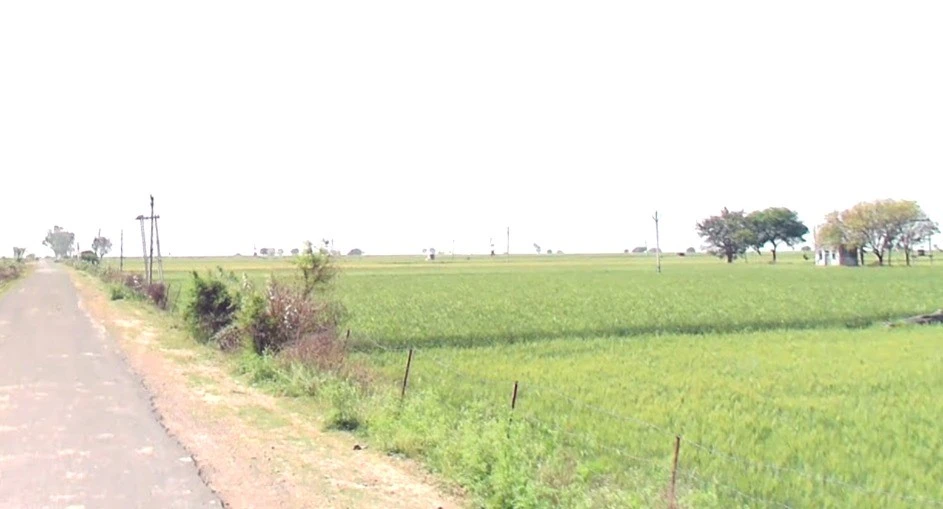 963Q+5FH, Jhirniya, Madhya Pradesh 462036, India