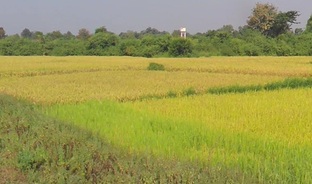 Darbha, Chhattisgarh 494115, India