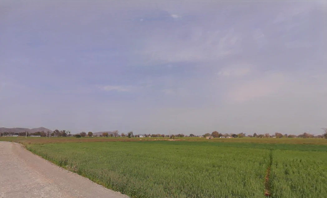 FRRX+G3Q, Bedha, Rajasthan 301021, India