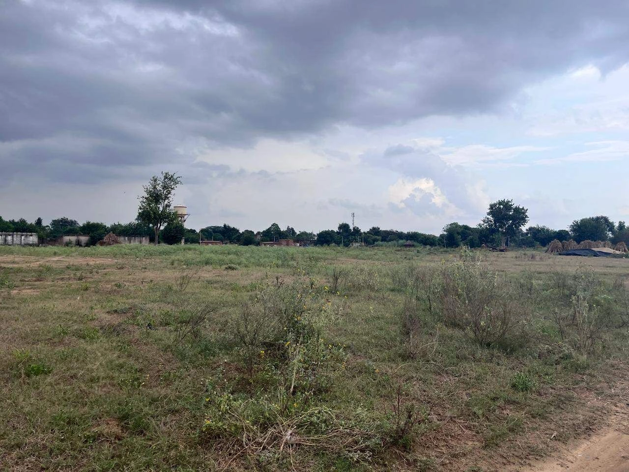 XRMX+5P6, Salarpur, Rajasthan 301411, India