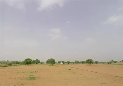 Ateli, Haryana 123021, India preview 2