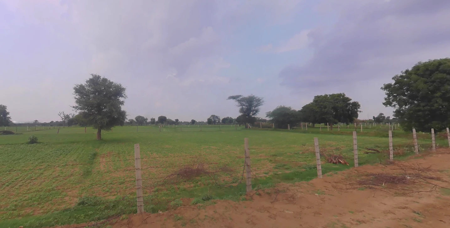 Kuli, Rajasthan 332710, India