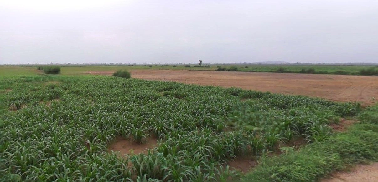 Kurukshetra, Haryana, India