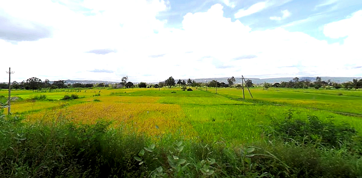 Sambra Rd, Mutaga, Karnataka, India