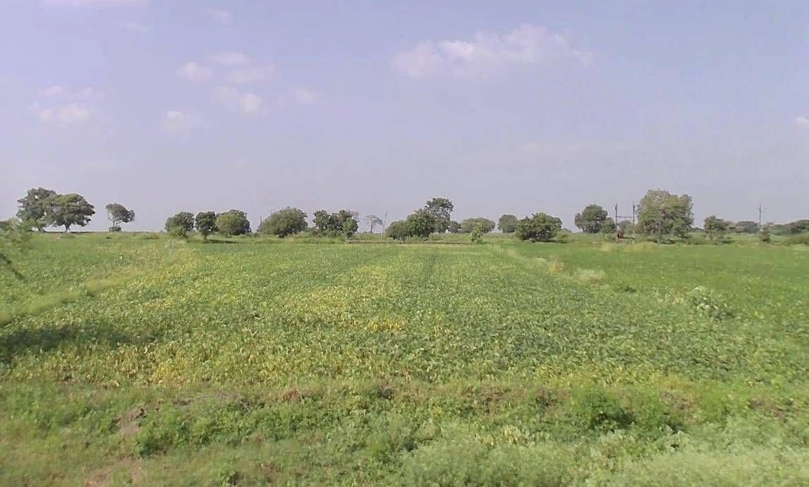 Sutarkheda, Madhya Pradesh, India preview 3