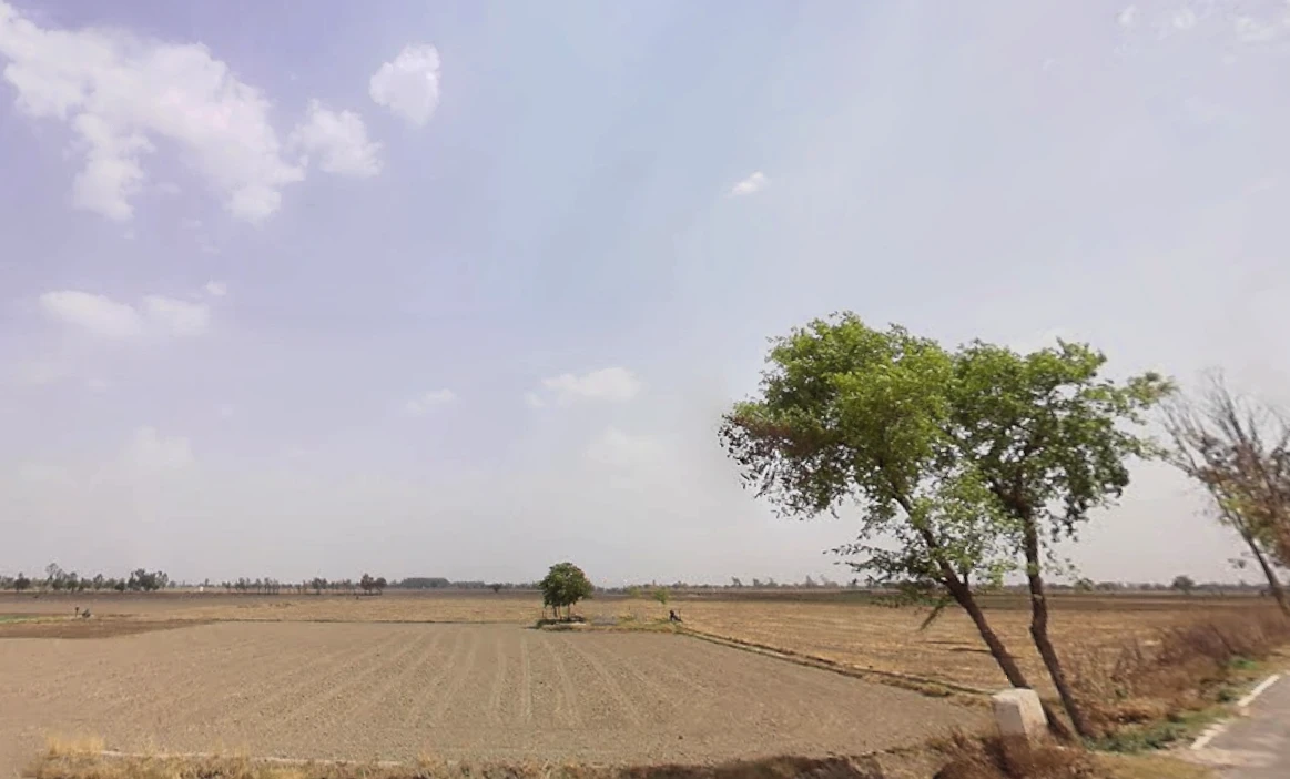 Bass, Haryana 125042, India