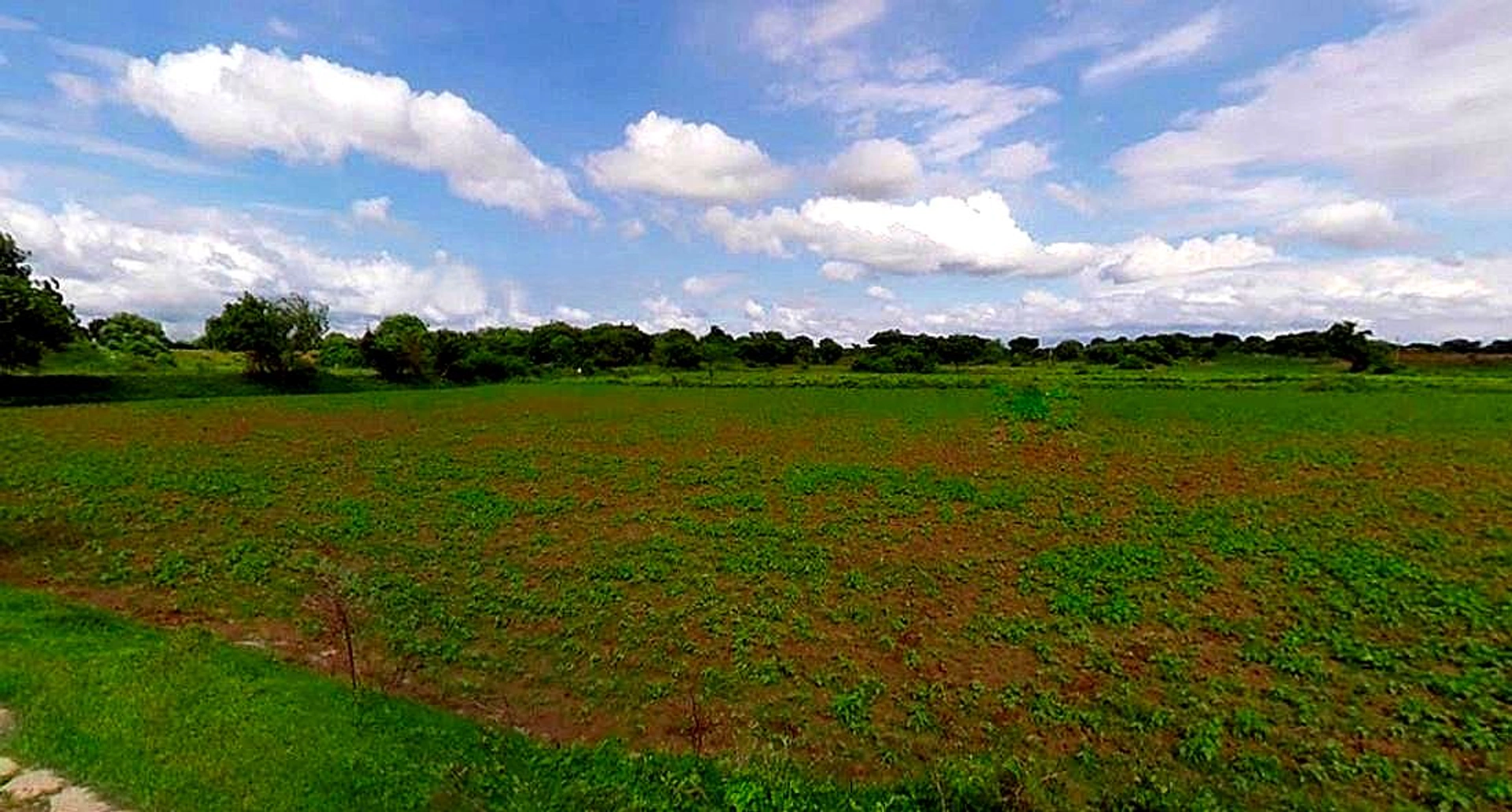 Mathura, Uttar Pradesh, India