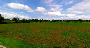 Mathura, Uttar Pradesh, India preview 2