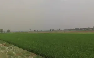 Shahabad Garhi, Uttar Pradesh 250406, India preview 3