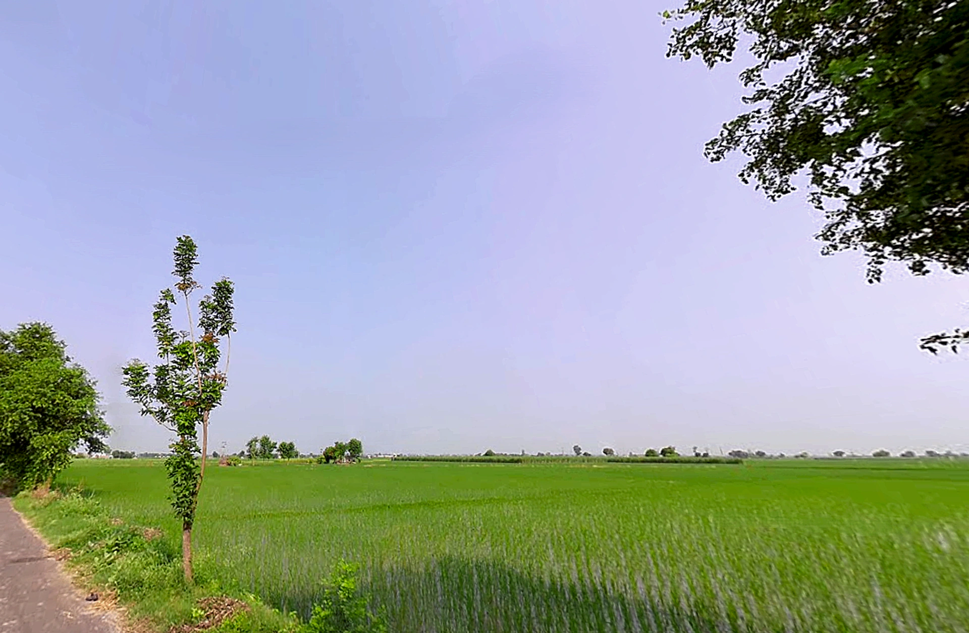 Kurlan, Haryana 132046, India