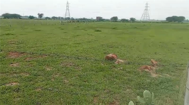 Farukh Nagar, Haryana 122506, India