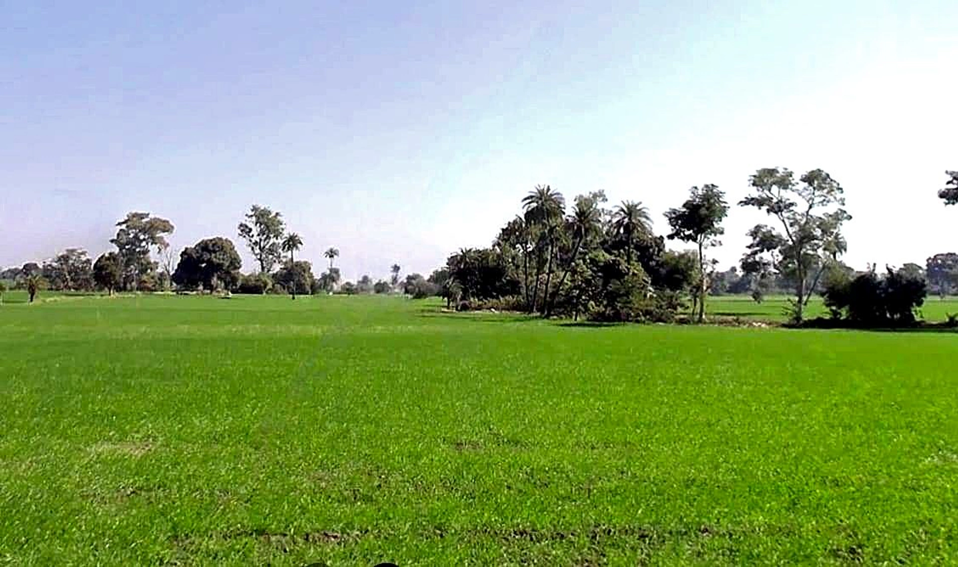 Shujalpur, Madhya Pradesh 465333, India