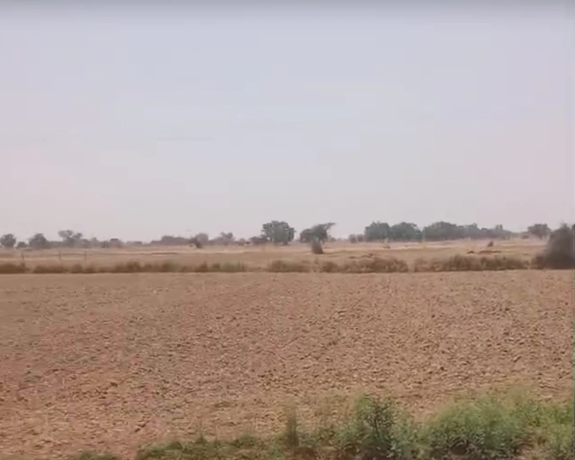 Bharatpur Rd, Bhanpur, Rajasthan, India