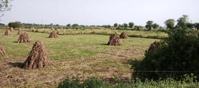 Nawa Bypass Hwy, Mohanpura, Rajasthan, India preview 3