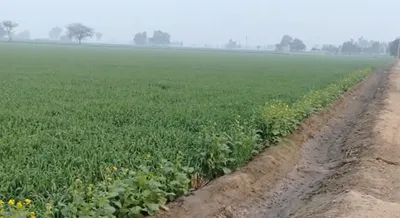 A-1121, Rani Ka Bagh, Mohindra Colony, Amritsar, Punjab 143001, India preview 2