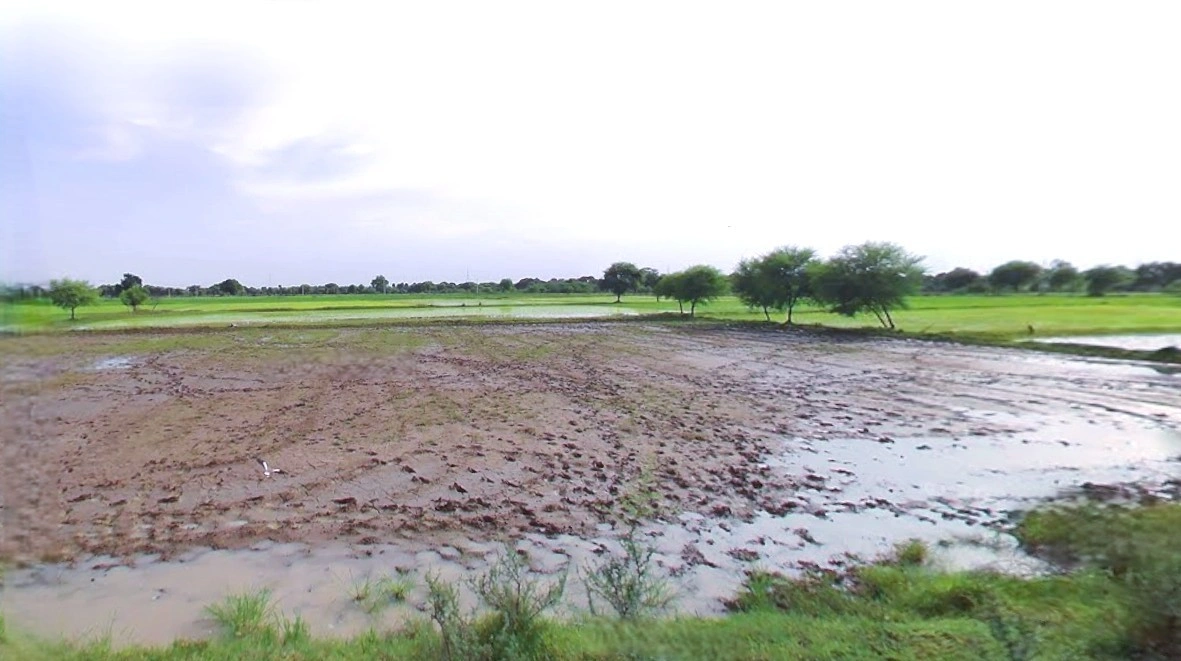 Jewar, Uttar Pradesh 203135, India