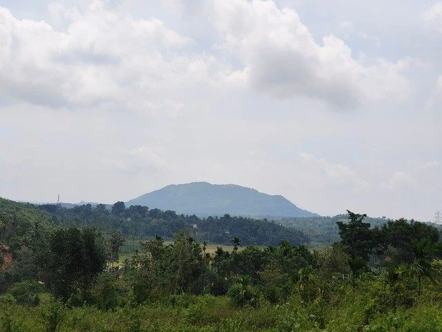 M3GG+7XF, Kambalakkad, Kerala 673124, India