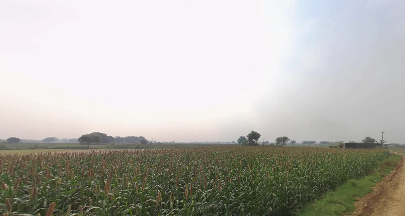 Puranpur, Uttar Pradesh 262122, India