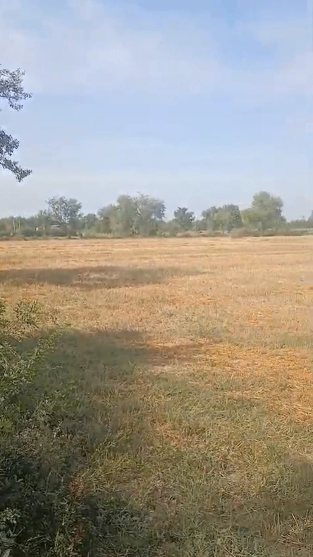 C9W2+CJ, Saintala, Odisha 767032, India