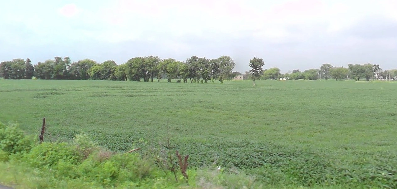 Chichli, Madhya Pradesh 487770, India