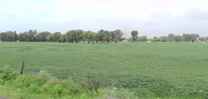 Chichli, Madhya Pradesh 487770, India preview 3