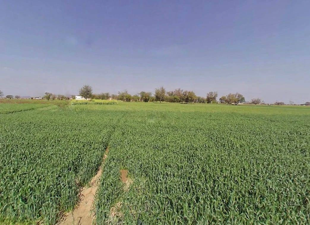 Vill.chandrakabass, Alwar, Rajasthan 301021, India