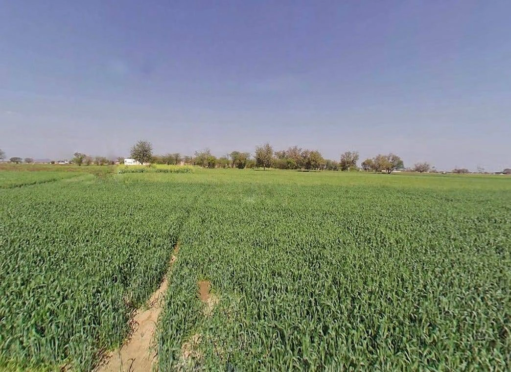 Vill.chandrakabass, Alwar, Rajasthan 301021, India