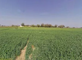 Vill.chandrakabass, Alwar, Rajasthan 301021, India preview 3