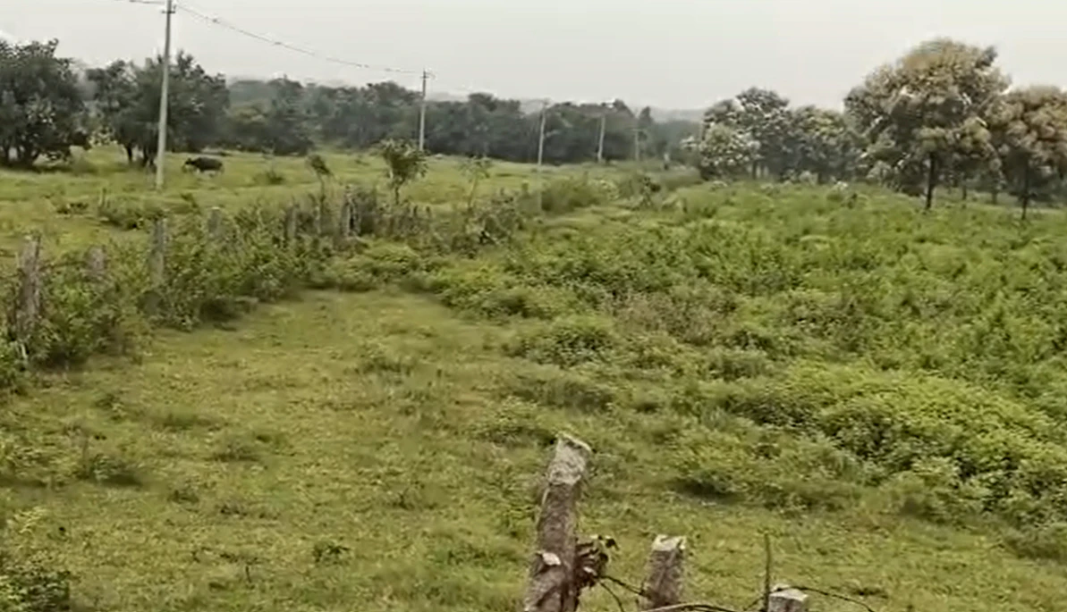 RFWG+6CR, Medak, 5, Toopran Rd, Tupran, Telangana 502334, India