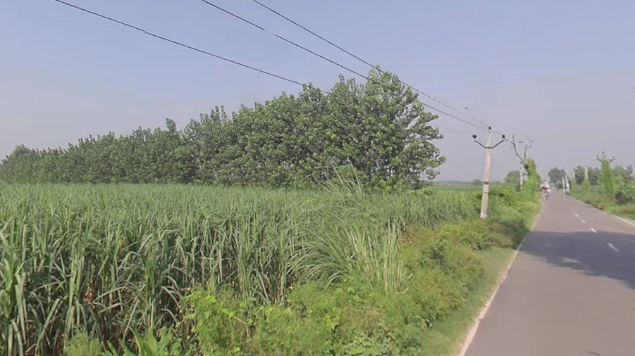 Nanauta Dehat, Uttar Pradesh 247452, India