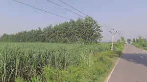 Nanauta Dehat, Uttar Pradesh 247452, India preview 3