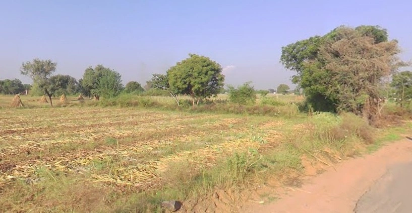 Mandhan, Rajasthan 301704, India