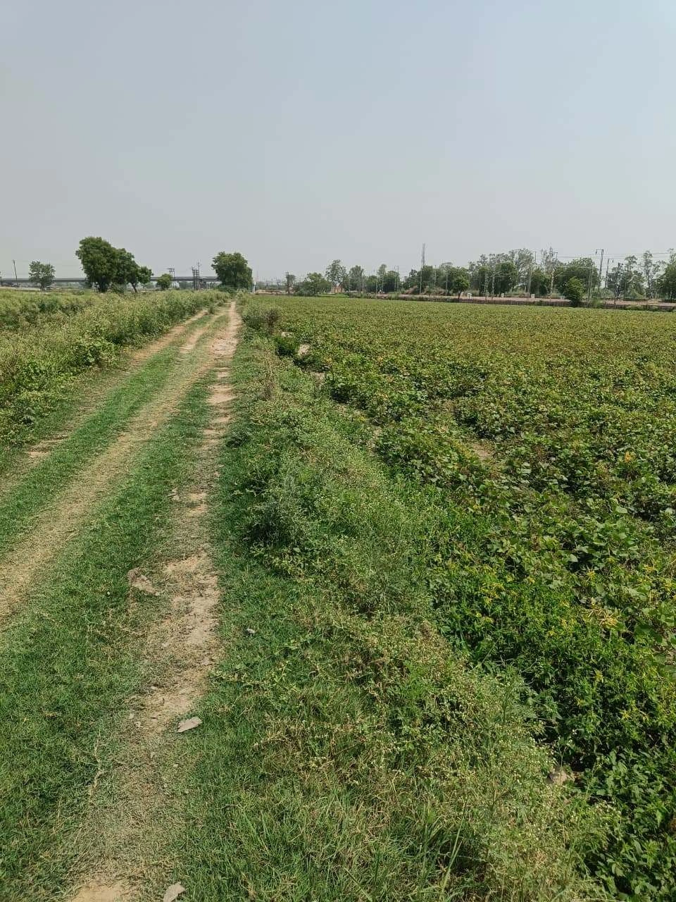 Sahar, Uttar Pradesh, India
