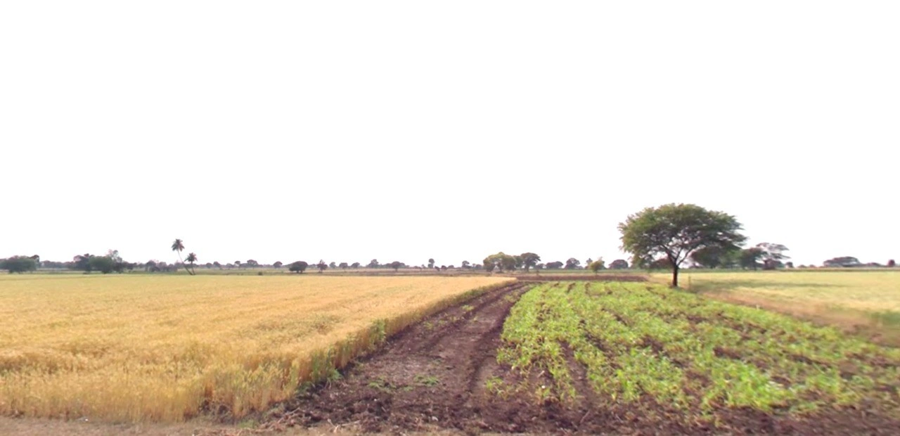 Badkummed, Madhya Pradesh 456661, India