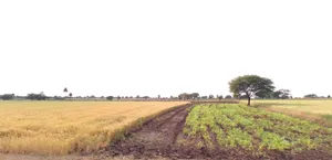 Badkummed, Madhya Pradesh 456661, India preview 2