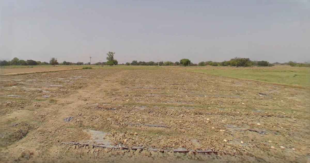 Sri Ganganagar, Rajasthan, India