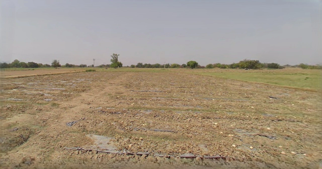 Sri Ganganagar, Rajasthan, India