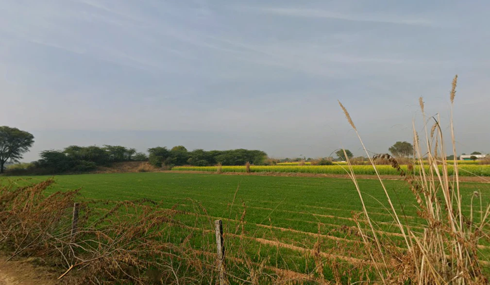 G4QG+GWR, Dharampuri, Rajasthan, India