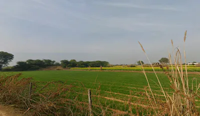 G4QG+GWR, Dharampuri, Rajasthan, India preview 2