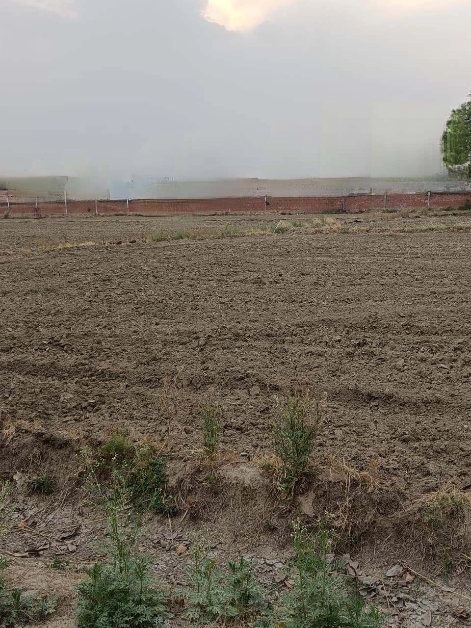 Chandauri, Uttar Pradesh, India