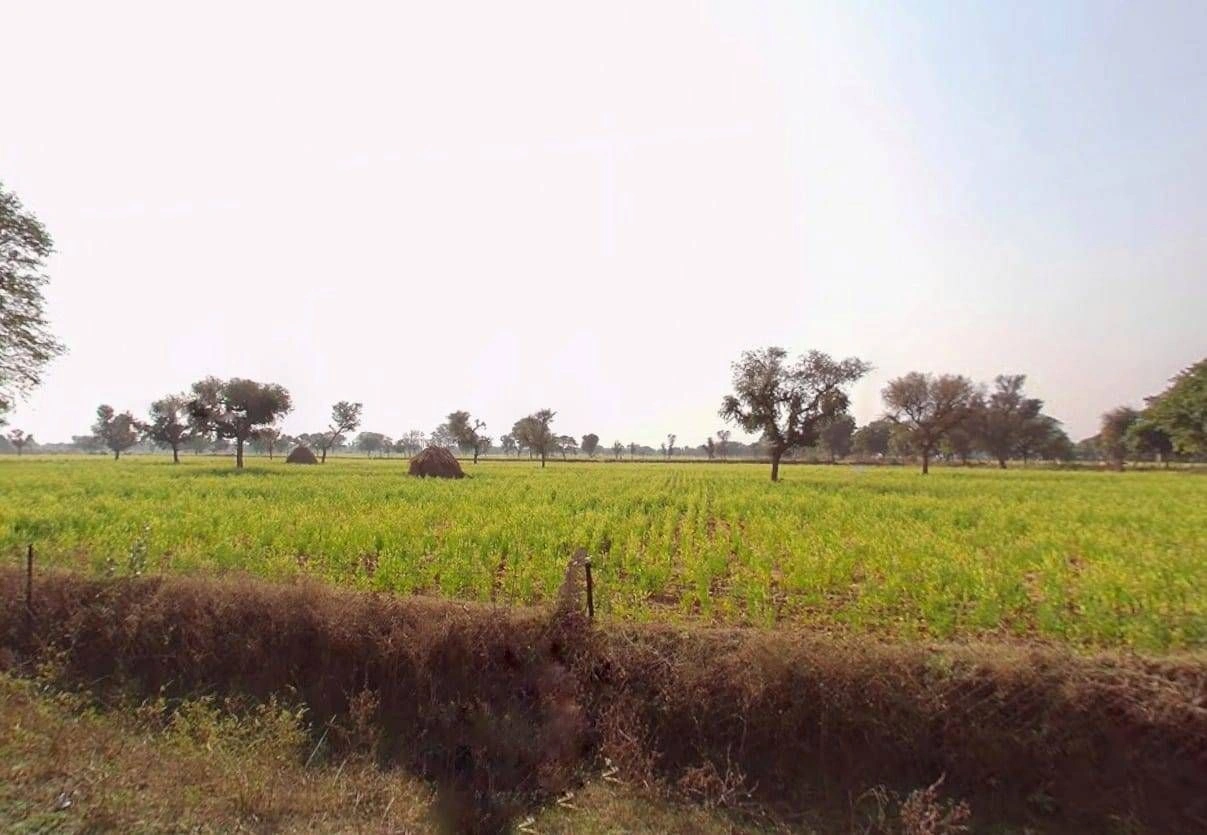 CRC9+HCQ, Ajeetgarh, Rajasthan 332701, India