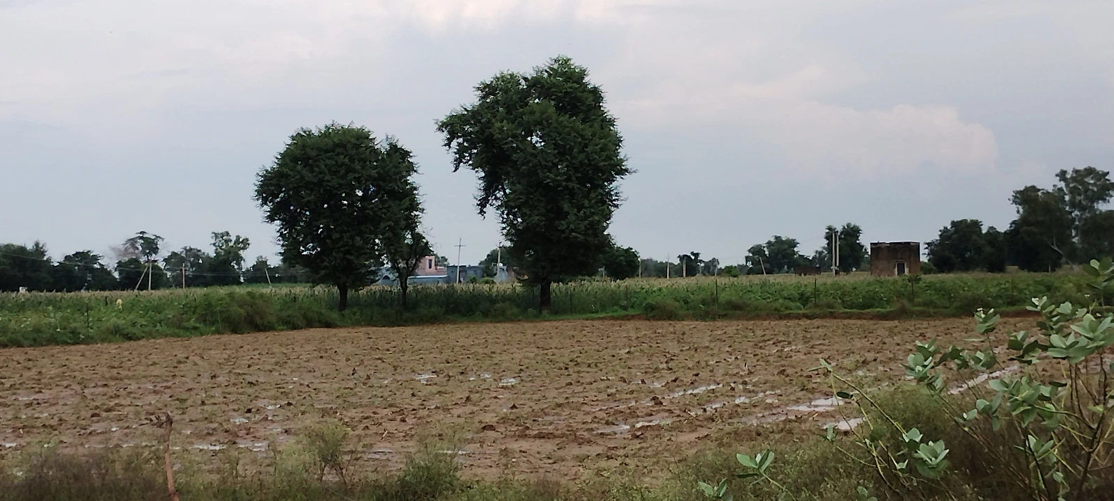 Barodameo, Rajasthan 301021, India