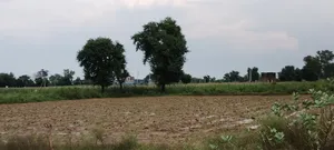 Barodameo, Rajasthan 301021, India preview 2