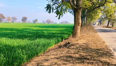 Nawagarh, Chhattisgarh 491337, India preview 2