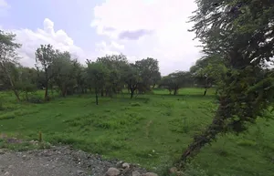 RQQ8+V96, Shishvi, Rajasthan, India preview 3