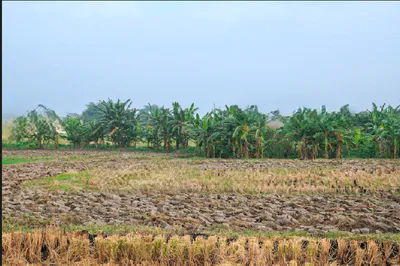 Mandapur, Rajasthan 301025, India preview 3