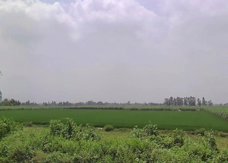 7772+J8C, Hitauta, Hitauti, Uttar Pradesh 242405, India