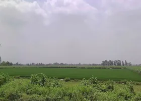 7772+J8C, Hitauta, Hitauti, Uttar Pradesh 242405, India preview 2