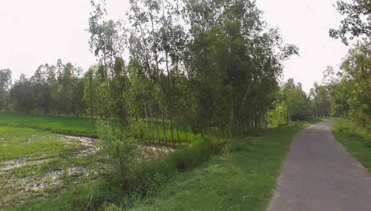 Mirzapur Pole, Uttar Pradesh 247121, India