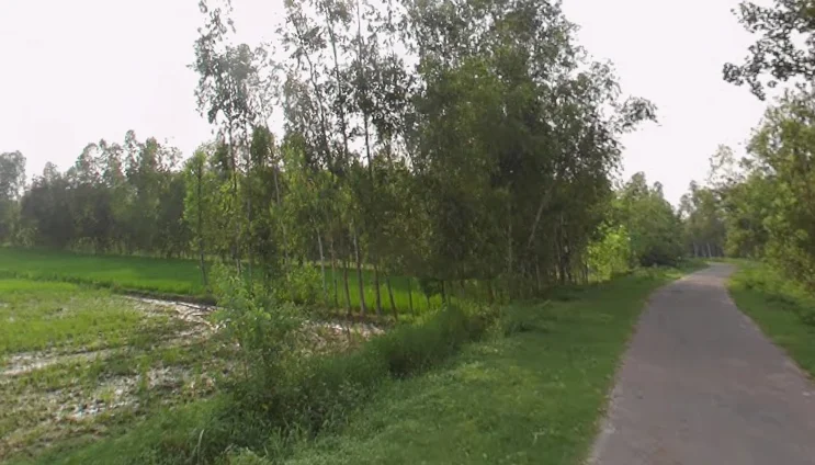 Mirzapur Pole, Uttar Pradesh 247121, India preview 2